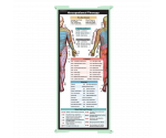 WhiteCoat Clipboard® Trifold - Mint Occupational Therapy Edition